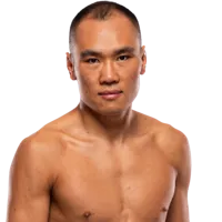 Ding Meng